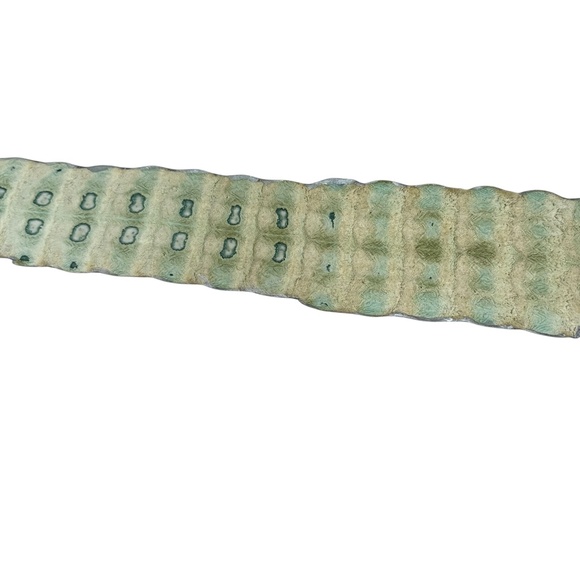 ROBERTO CAVALLI SILVER CROCODILE WIDE BELT